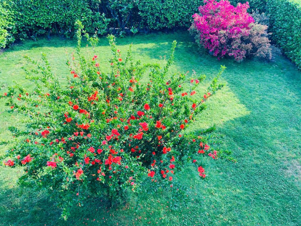 Appartamento Con Giardino Al Melograno Локарно Екстериор снимка